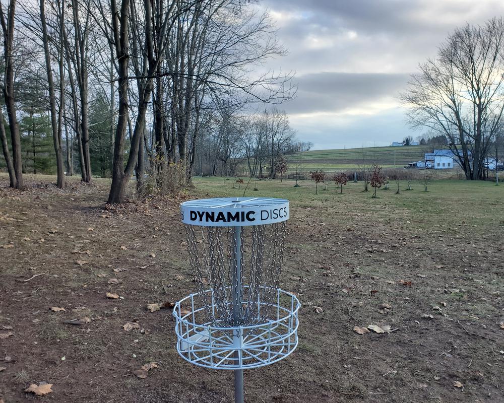 Bright white disc golf basket at Brubaker Park.