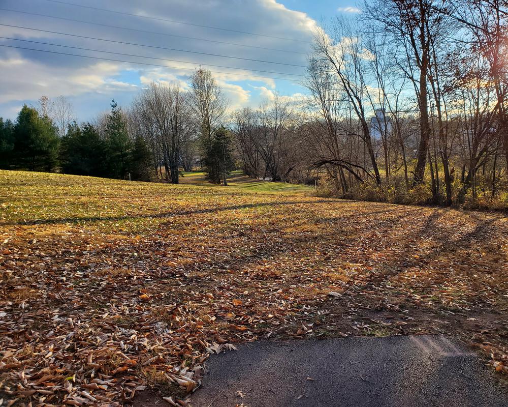 Beautiful sky over disc golf course.