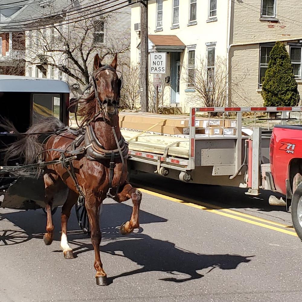 Horse-drawn carriages are a common sight on Main Street, New Holland, and throughout the region.