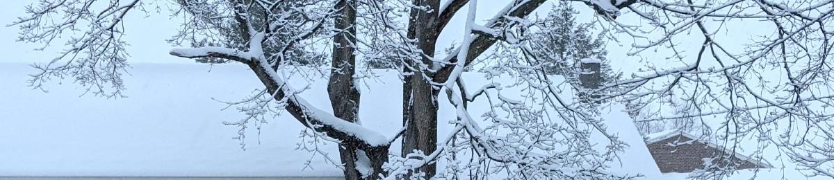 Snow blankets the Country Hearth driveway.